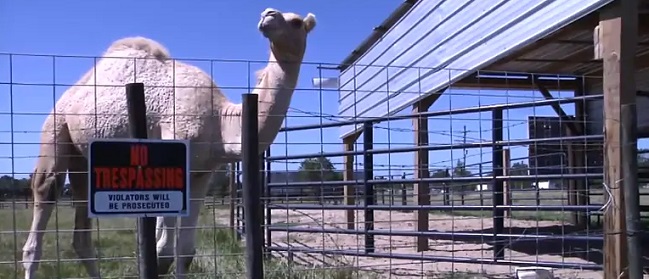 Imagen foto_00000002