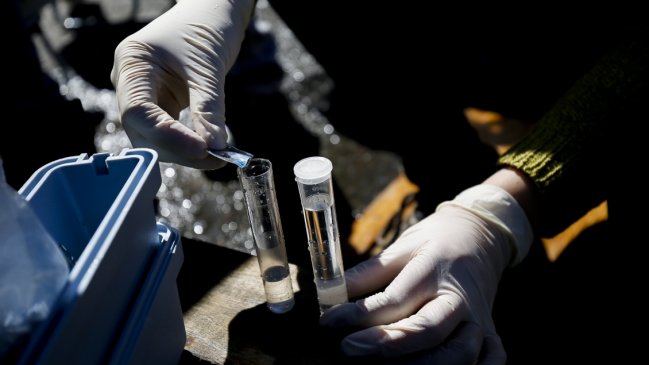 Tras 12 días sin agua potable, Puerto Octay espera para el miércoles resultados de muestras