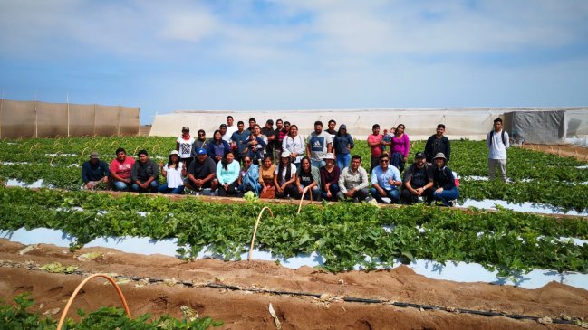 Jóvenes de Arica y Parinacota recibieron financiamiento para mejorar sus iniciativas agropecuarias