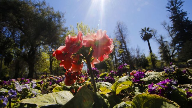 Comenzó oficialmente la primavera