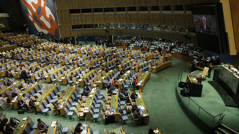 Imagen foto_00000017