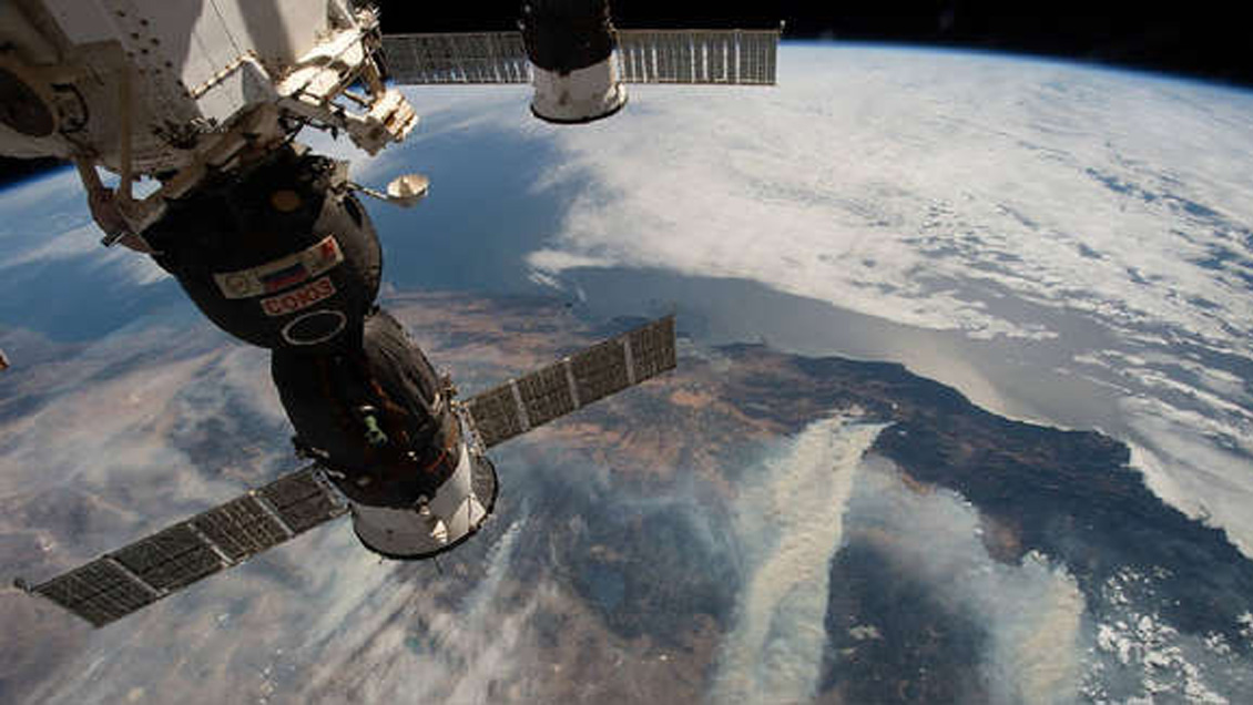 El viaje espacial no altera la fertilidad de los ratones, según estudio