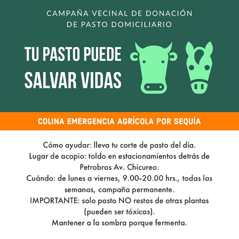 Imagen foto_00000002