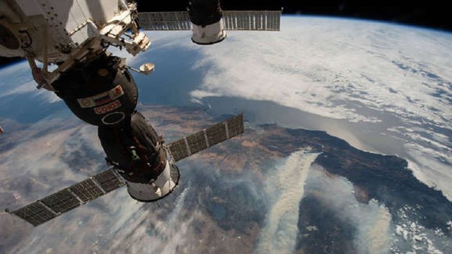 El viaje espacial no altera la fertilidad de los ratones, según estudio