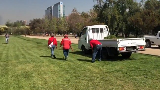 Lavín recolecta pasto de plazas para donarlo como alimento para cabras de Colina