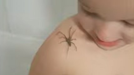 La reacción de un niño al encontrar una tremenda araña