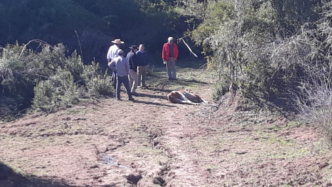 Comisión de la Cámara investigará accionar de ministerios en la megasequía y cambio climático