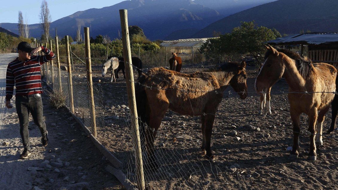 Piñera encabezará mesa nacional sobre escasez hídrica que tendrá de invitados a ex Presidentes