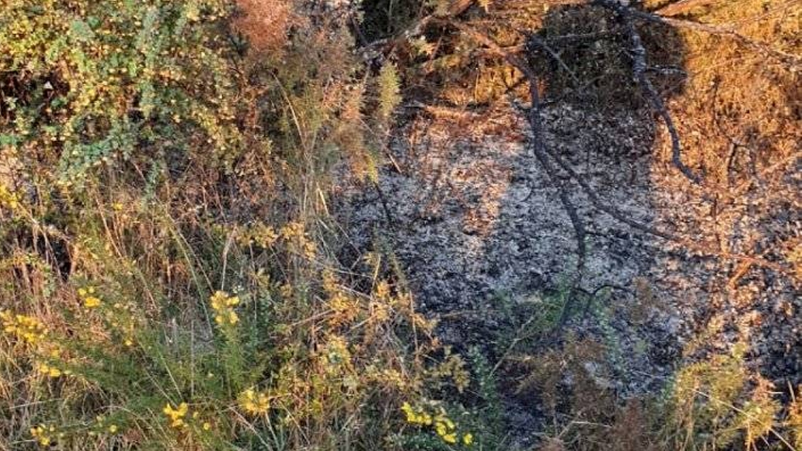 Dalcahue: Bomberos detectaron intenso olor a azufre donde cayó la 