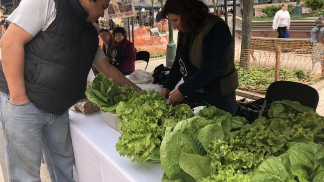 Presentan primer mercado campesino de O'Higgins