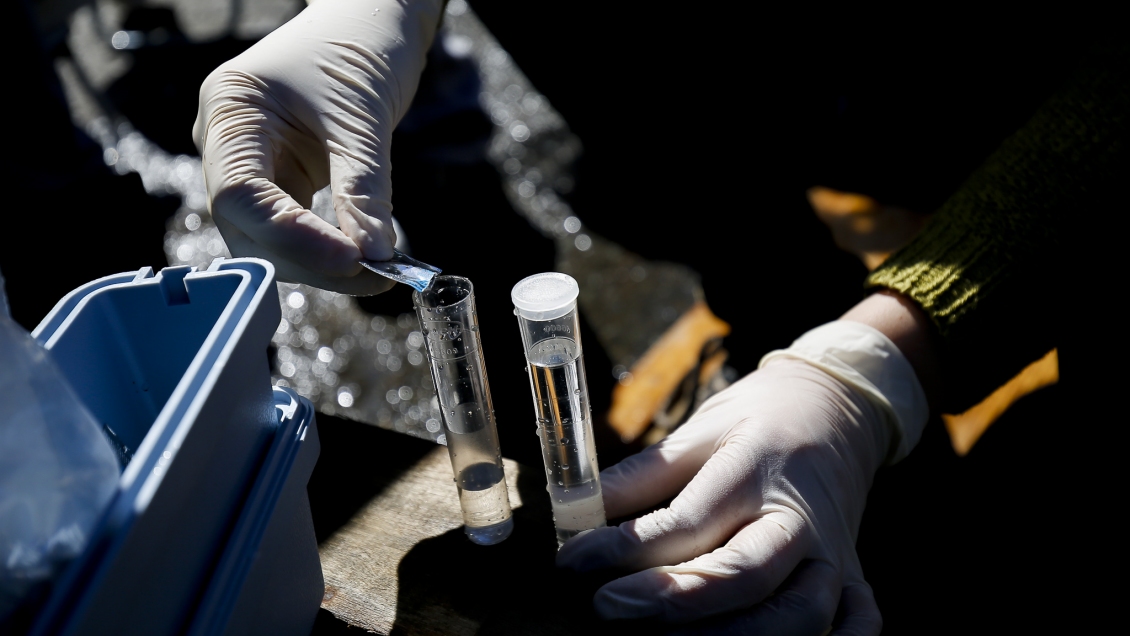 Seremi de Salud toma muestras de agua en zonas afectadas por cenizas del volcán Chillán