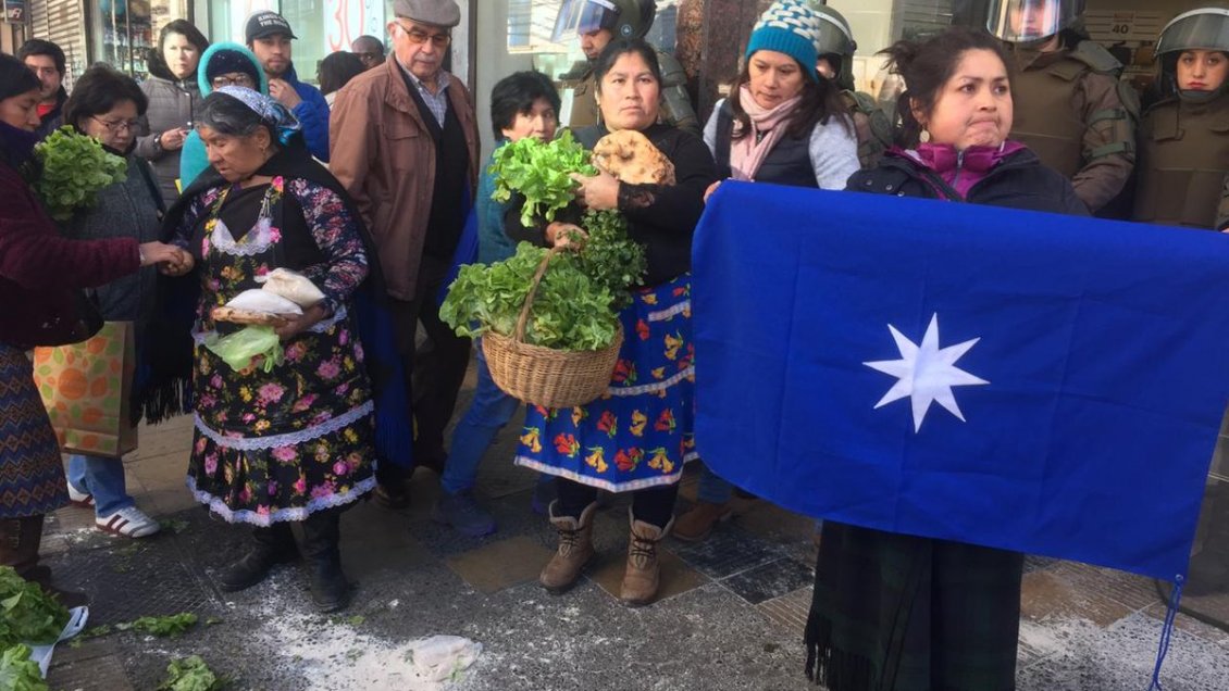 Corte de Apelaciones falló a favor de hortaliceras mapuche de Temuco