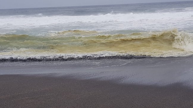 Investigan extrañas 