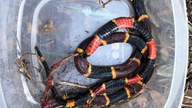 Imagen foto_00000004