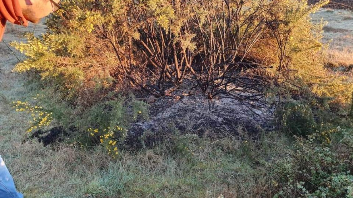 Sernageomin rastrea zona donde presuntamente cayó objeto incandescente en Dalcahue