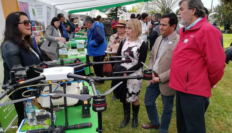 Feria de tecnologías sustentables en berries convocó a más de 500 agricultores maulinos en Villa Alegre