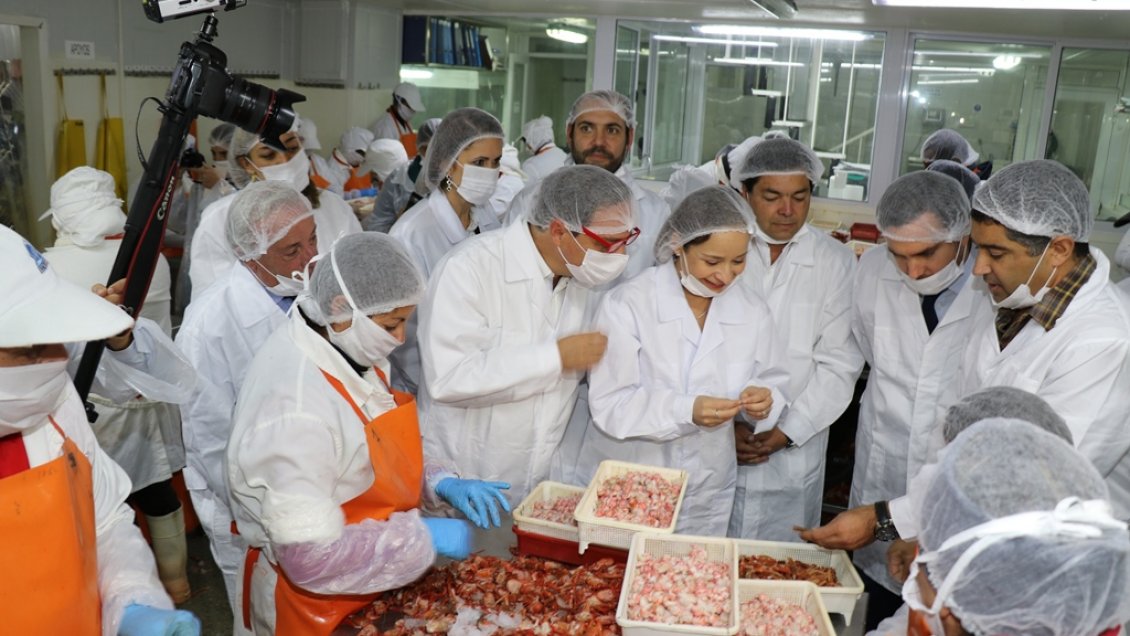 Coquimbo: Más de 18 mil pymes presentan deuda tributaria