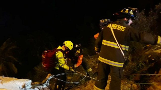 Conductor de un camión murió tras desbarrancar en Viña del Mar