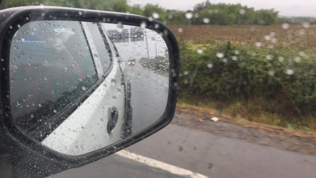 Productores de berries preocupados por heladas matinales en el Maule