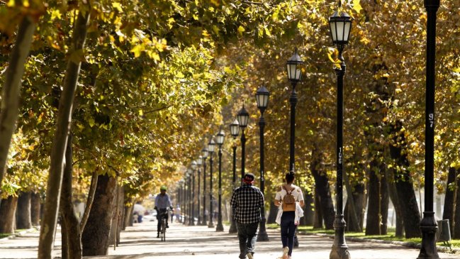 Conflicto por futuro acceso a la Línea 7 del Metro desde el Parque Forestal