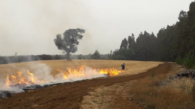Anciano falleció por inhalación de humo en quema de pastizales en Chillán