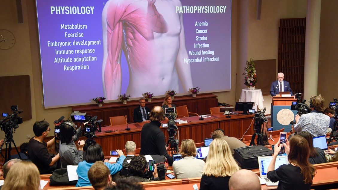 Nobel de Medicina premia estudios sobre relación de células con el oxígeno