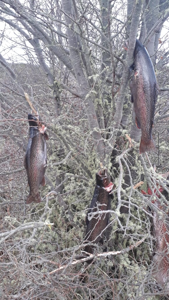 Imagen foto_00000002