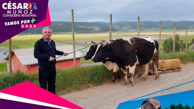 La UDI ya tiene a su candidato a gobernador regional para el Maule