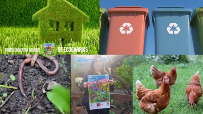 Barrio Yungay acogerá el primer Encuentro Nacional de Ecobarrios y Huertas Urbanas