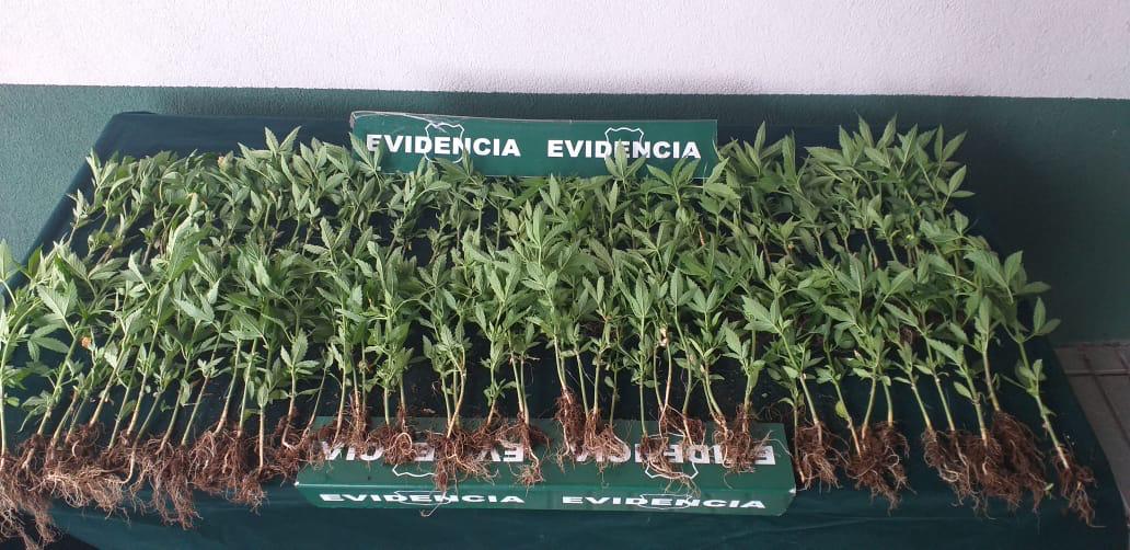 Imagen foto_00000002