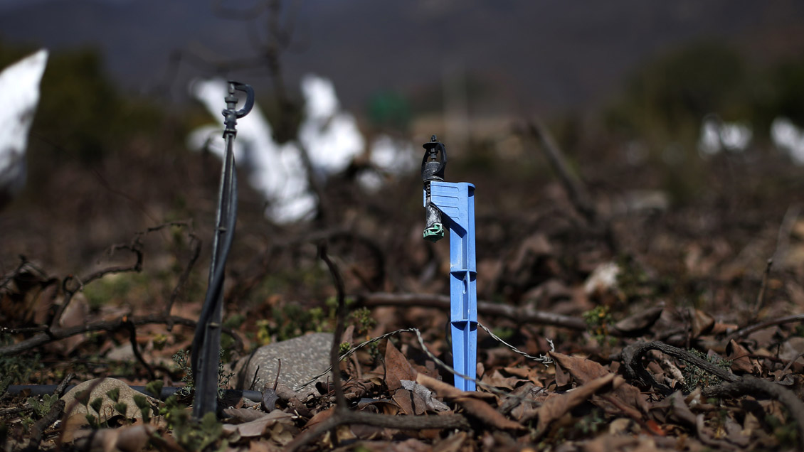 Ministro de Agricultura: 