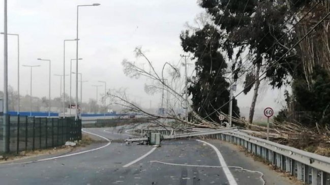 Fuerte viento dejó más de 3.000 clientes sin luz en Coquimbo y La Serena