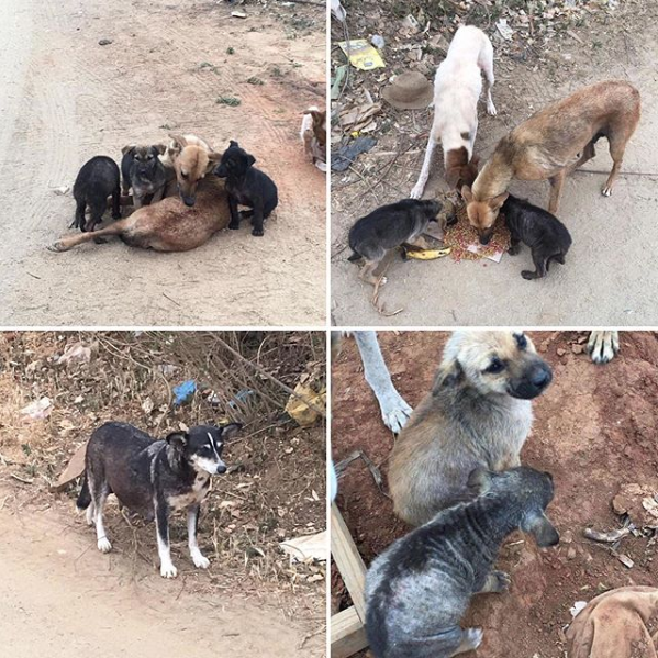 Imagen foto_00000002