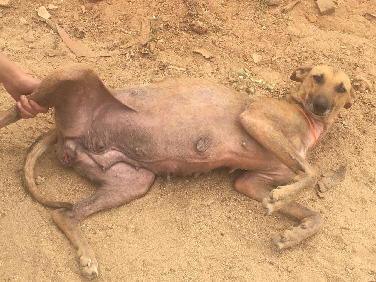 Imagen foto_00000004