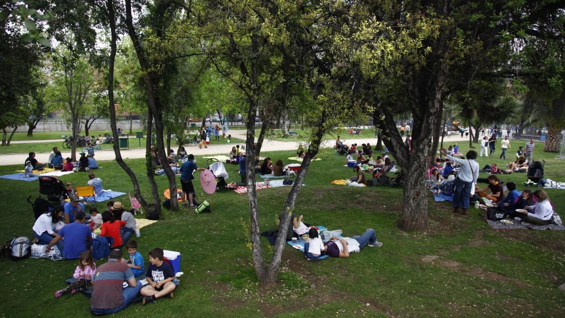 Falta de áreas verdes afecta a 7,6 millones de chilenos