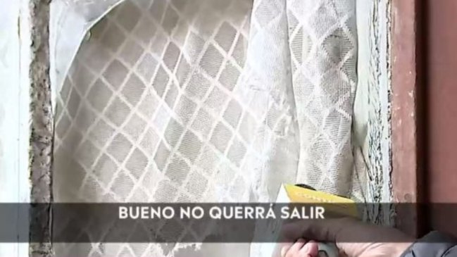 Habló joven que, acusan, lleva más de 10 años encerrada en Viña del Mar