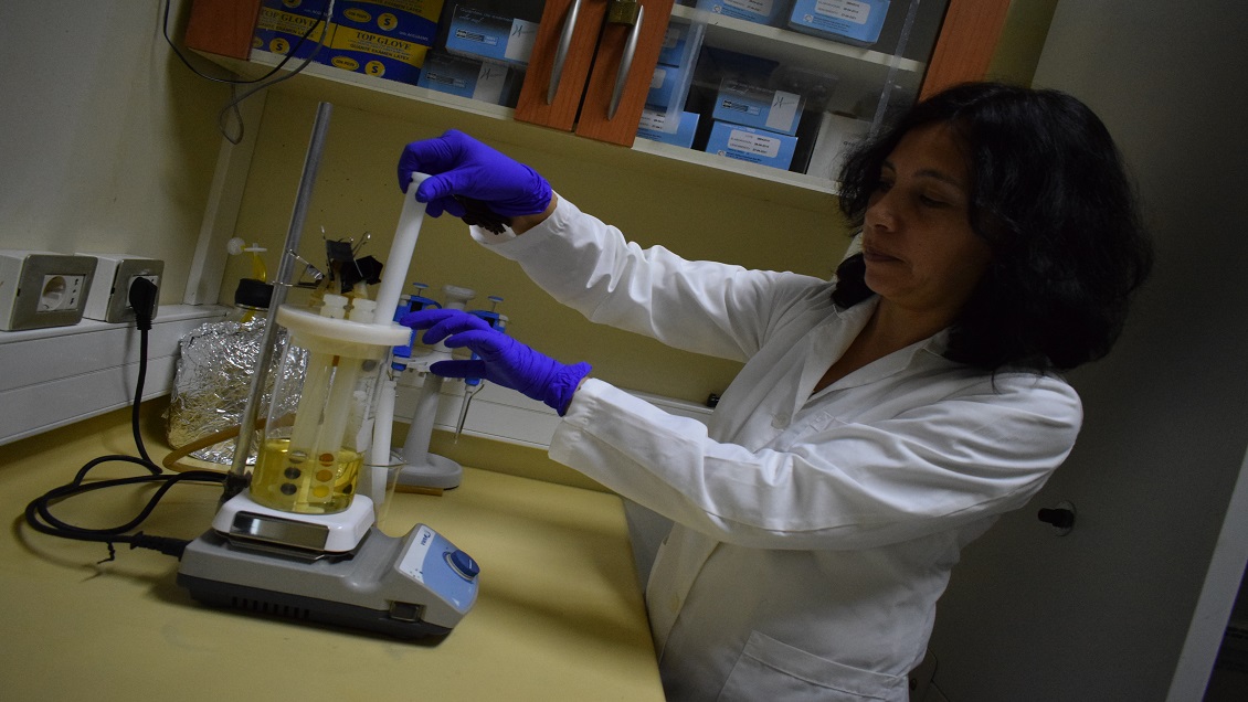 Científicos UdeC crearon desinfectante de alimentos inofensivo al consumo humano