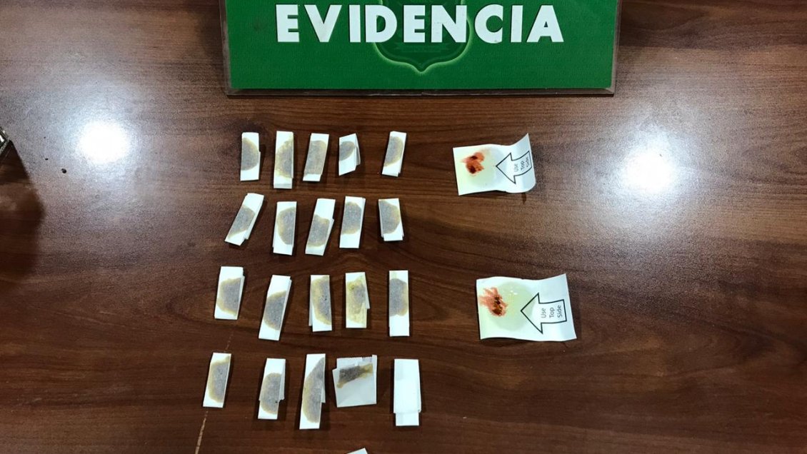 Carabineros realiza primera incautación de hachís en Magallanes