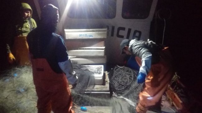 Armada decomisa 400 kilos de merluza austral en Chiloé
