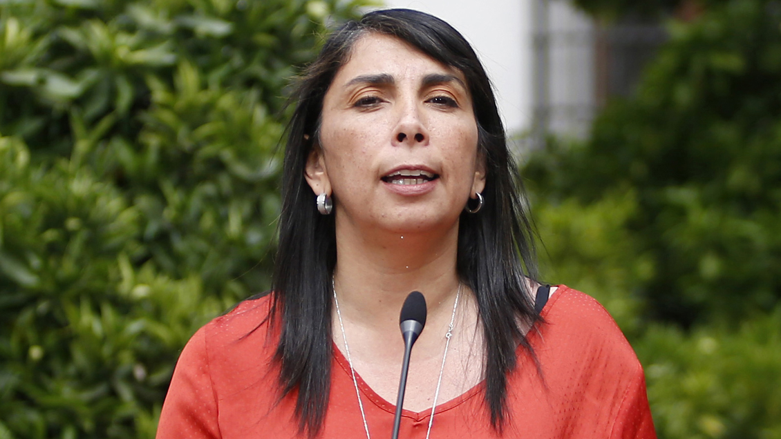 Gobierno se desmarcó del proceso constituyente del Congreso