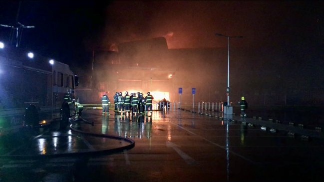 O’Higgins: Intendencia interpondrá 12 querellas por saqueos