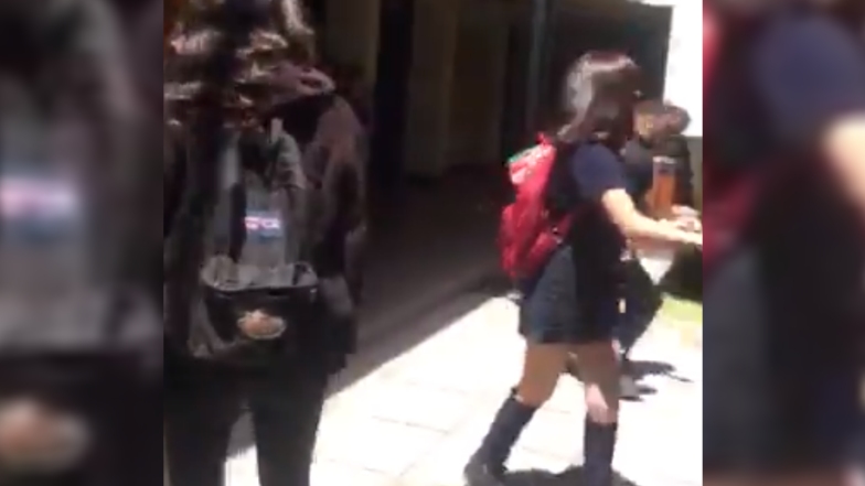 Director de Carabineros apuntó a 