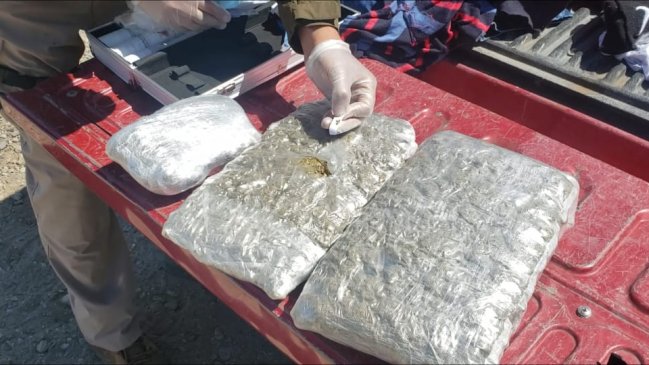 Carabineros incautó más de 27 mil dosis de marihuana en Copiapó