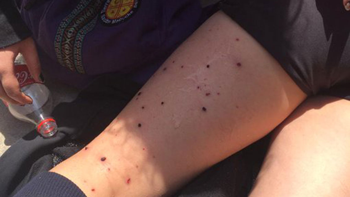 Alumnas piden renuncia de rectora y alcalde Alessandri tras disparos en Liceo 7 de Santiago