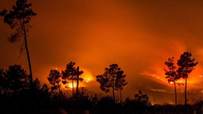 Más de 11.000 científicos de todo el mundo declaran 