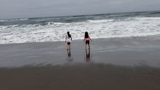 Resolución que otorga acceso vehicular a playa Mónaco fue publicada en Diario Oficial