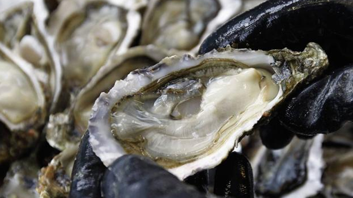 Hallan en mariscos fibras plásticas que las lavadoras desprenden de prendas