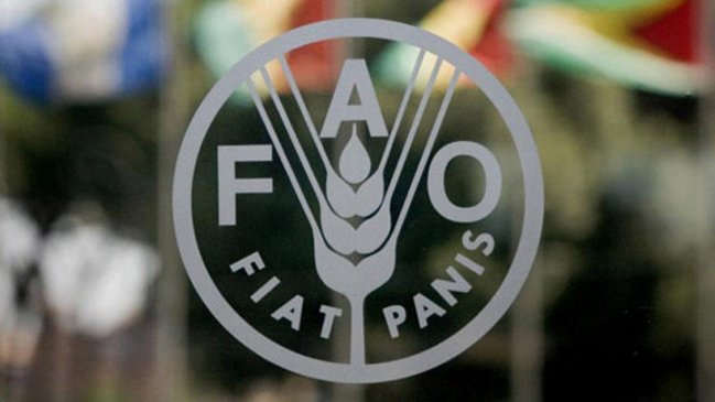  El hambre afecta al 2,7 % de los chilenos, según la FAO  
