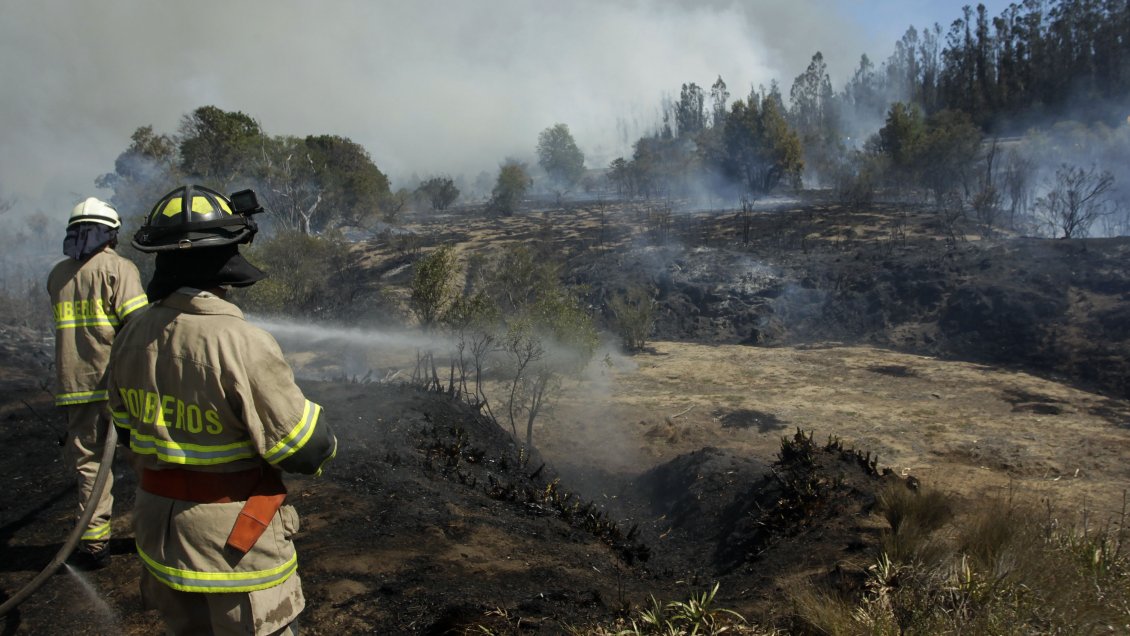 Autoridades evacuan condominios por descontrolado incendio forestal en Valparaíso