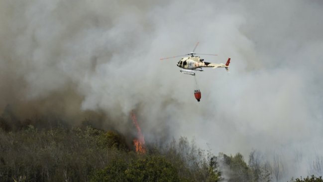 Incendios forestales en Valparaíso afectan 2.000 hectáreas: Cuatro siguen activos